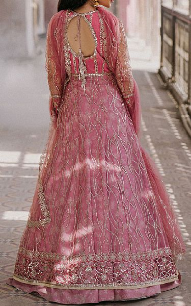 Roheenaz Tea Pink Net Suit | Pakistani Embroidered Chiffon Dresses USA- Image 3