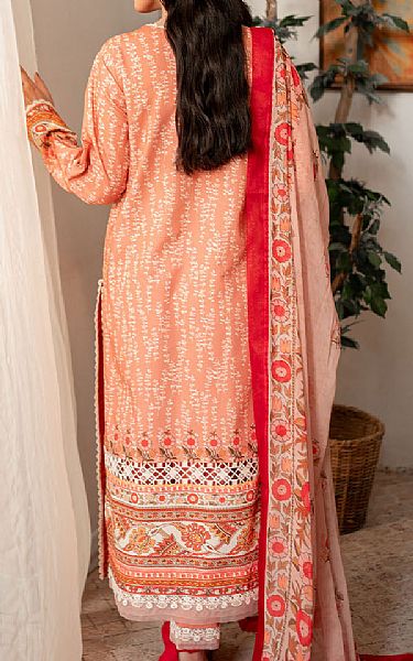 Roheenaz Pink/Peach Cambric Suit | Pakistani Winter Dresses in USA- Image 2