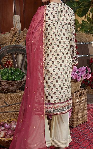 Salitex Off White Cambric Suit | Pakistani Winter Dresses in USA- Image 2