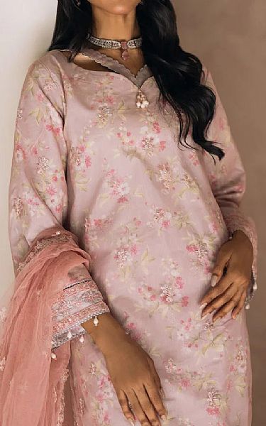 Salitex Oyster Pink Net Suit | Pakistani Embroidered Chiffon Dresses USA- Image 3