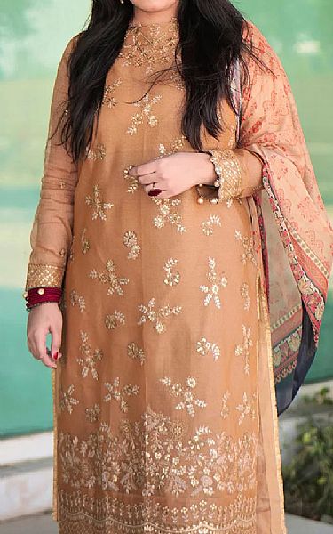 Salitex Fawn Net Suit | Pakistani Embroidered Chiffon Dresses USA- Image 2