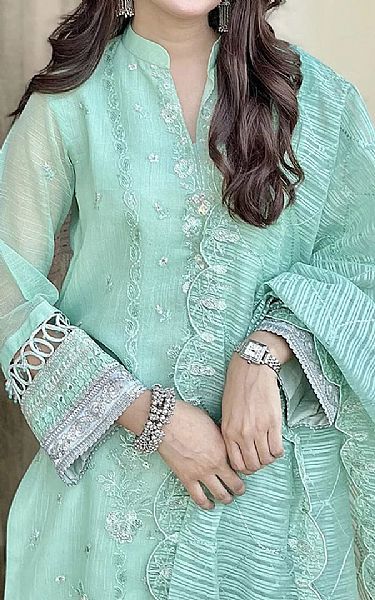 Salitex Mint Green Organza Suit | Pakistani Embroidered Chiffon Dresses USA- Image 2
