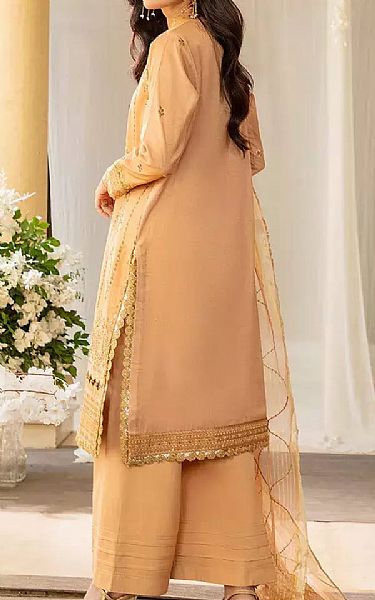 Salitex Fawn Silk Suit | Pakistani Embroidered Chiffon Dresses USA- Image 2