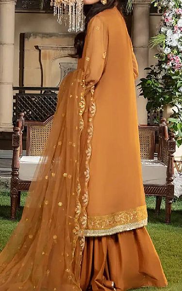 Salitex Dull Orange Net Suit | Pakistani Embroidered Chiffon Dresses USA- Image 2