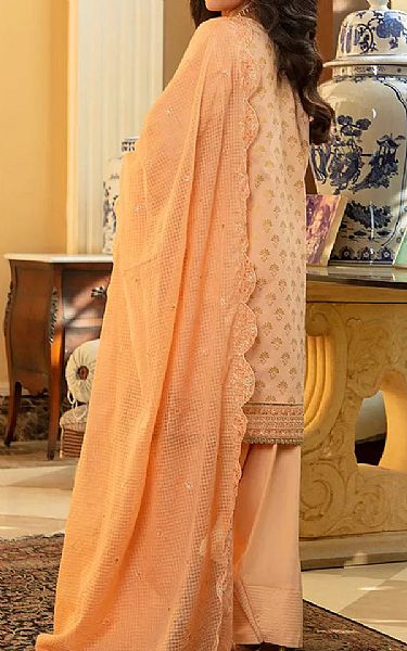 Salitex Peach Net Suit | Pakistani Embroidered Chiffon Dresses USA- Image 2