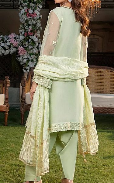 Salitex Sea Mist Net Suit | Pakistani Embroidered Chiffon Dresses USA- Image 2