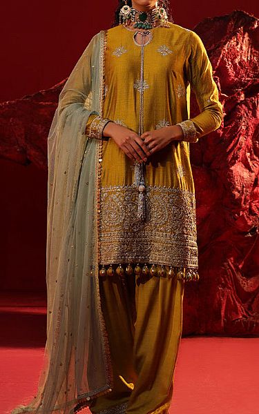 Salitex Olive Cotton Net Suit | Pakistani Embroidered Chiffon Dresses- Image 1