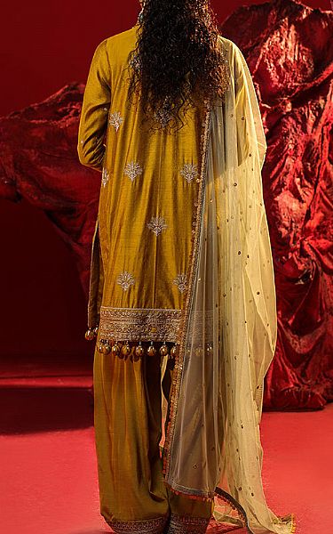 Salitex Olive Cotton Net Suit | Pakistani Embroidered Chiffon Dresses- Image 2