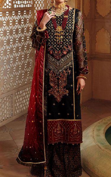 Sanaya Black Organza Suit | Pakistani Dresses in USA- Image 1
