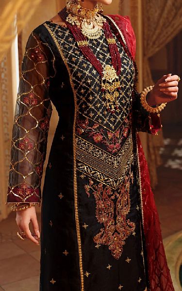 Sanaya Black Organza Suit | Pakistani Dresses in USA- Image 2