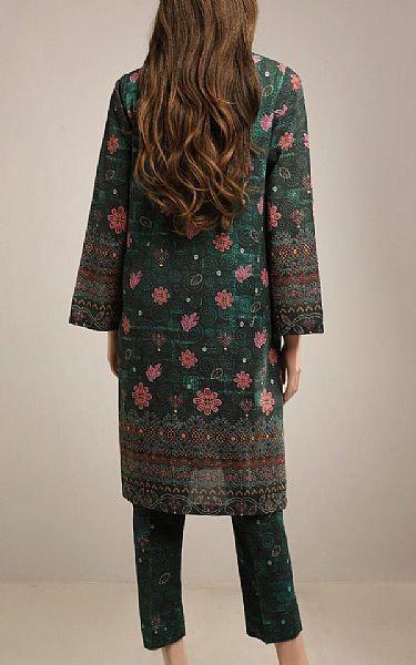 Saya Mineral Green Khaddar Suit (2 pcs) | Pakistani Winter Dresses- Image 2
