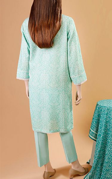 Saya Mint Green Karandi Suit | Pakistani Winter Dresses- Image 2