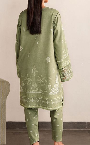 Seran Pistachio Viscose Suit (2 Pcs) | Pakistani Winter Dresses in USA- Image 2