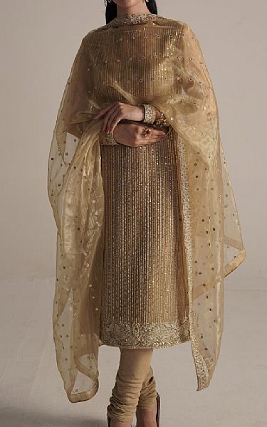 Seroli Fawn Organza Suit | Pakistani Embroidered Chiffon Dresses- Image 1