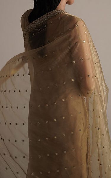Seroli Fawn Organza Suit | Pakistani Embroidered Chiffon Dresses- Image 2