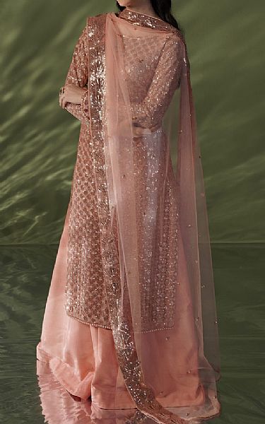 Seroli Brownish Pink Net Suit | Pakistani Embroidered Chiffon Dresses- Image 1