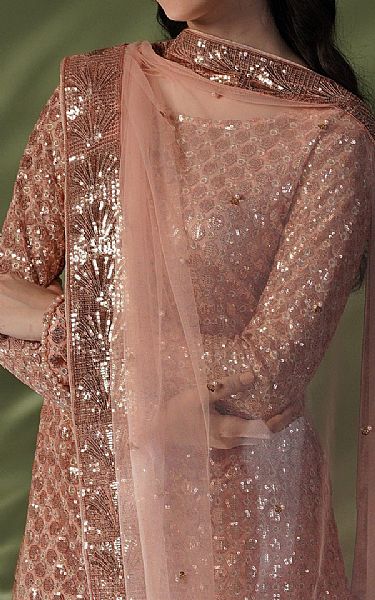 Seroli Brownish Pink Net Suit | Pakistani Embroidered Chiffon Dresses- Image 2