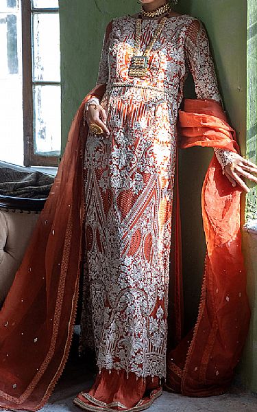 Threads And Motifs Rust Net Suit | Pakistani Embroidered Chiffon Dresses- Image 1