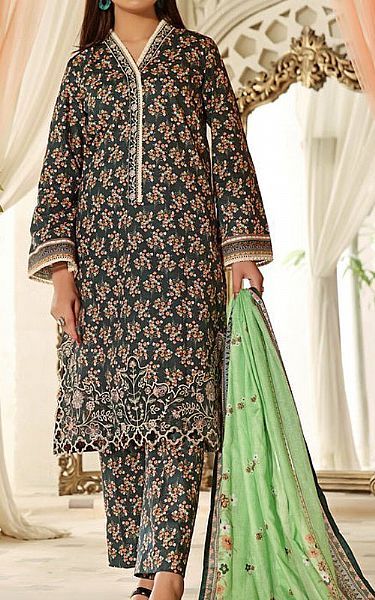 Vs Textile Lunar Green Cotton Suit | Pakistani Winter Dresses- Image 1