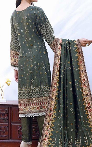 Vs Textile Lunar Green Shimmery Suit | Pakistani Winter Dresses- Image 2
