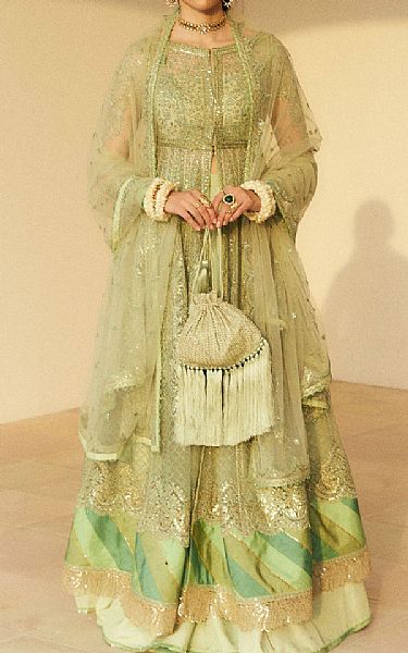 Zara Shahjahan Olive Green Net Suit | Pakistani Embroidered Chiffon Dresses USA- Image 1