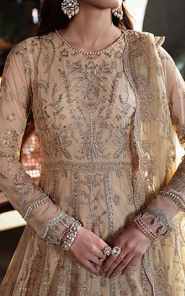 Zarif Beige Net Suit | Pakistani Embroidered Chiffon Dresses USA- Image 3