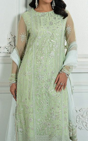 Zarif Light Green Net Suit | Pakistani Embroidered Chiffon Dresses USA- Image 3