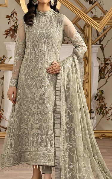 Zarif Light Grey Net Suit | Pakistani Embroidered Chiffon Dresses- Image 1