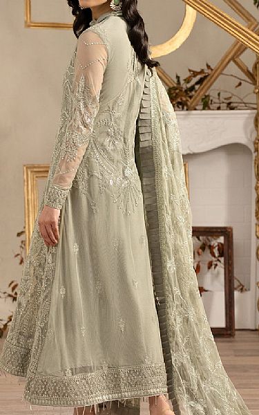 Zarif Light Grey Net Suit | Pakistani Embroidered Chiffon Dresses- Image 2