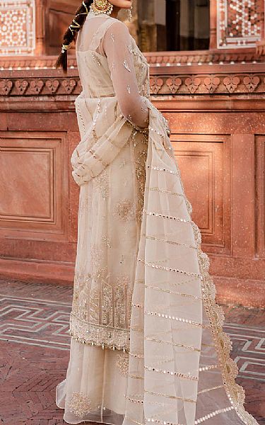 Zoya Fatima Fawn Net Suit | Pakistani Embroidered Chiffon Dresses- Image 2