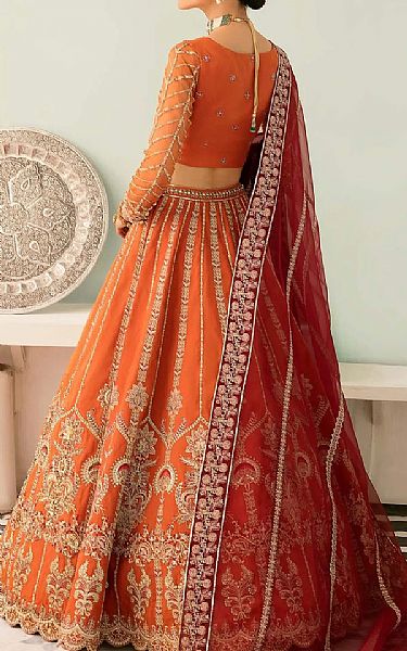 Akbar Aslam Safety Organza Suit | Pakistani Embroidered Chiffon Dresses- Image 2