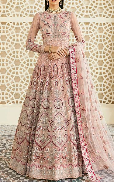 Akbar Aslam Tea Pink Net Suit | Pakistani Embroidered Chiffon Dresses- Image 1