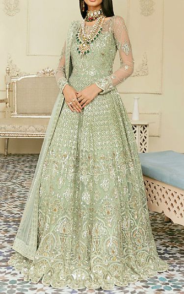 Akbar Aslam Pistachio Green Net Suit | Pakistani Embroidered Chiffon Dresses- Image 1