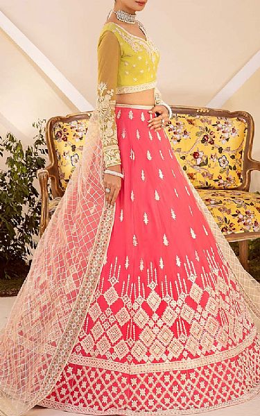 Akbar Aslam Lime/Pink Net Suit | Pakistani Embroidered Chiffon Dresses- Image 1