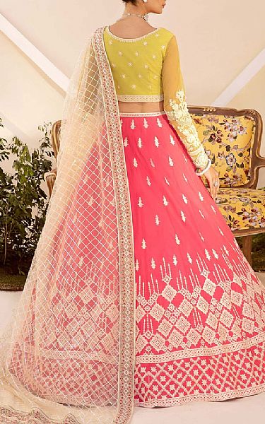 Akbar Aslam Lime/Pink Net Suit | Pakistani Embroidered Chiffon Dresses- Image 2