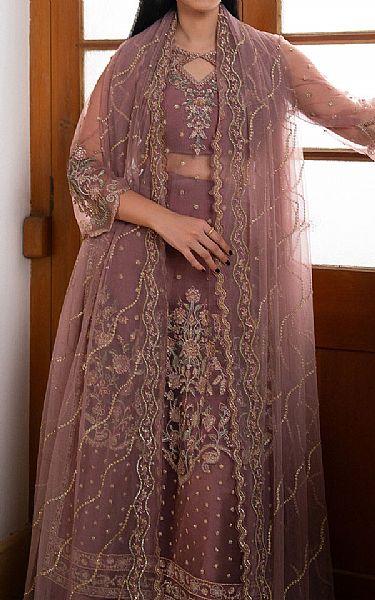 Ayzel Tea Pink Poly Net Suit | Pakistani Embroidered Chiffon Dresses USA- Image 3