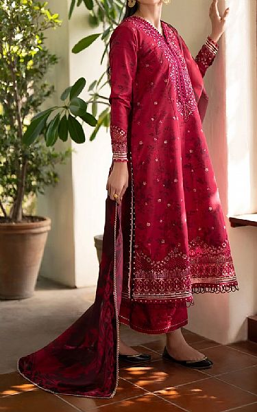 Xenia Cardinal Raw Silk Suit | Pakistani Embroidered Chiffon Dresses USA- Image 2