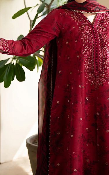 Xenia Cardinal Raw Silk Suit | Pakistani Embroidered Chiffon Dresses USA- Image 3