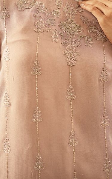 Zeen Tea Rose Chiffon Suit | Pakistani Embroidered Chiffon Dresses USA- Image 3