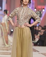 Beige/Golden Net Suit- Pakistani Formal Designer Dress