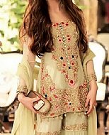 Light Green Chiffon Suit