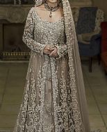 Tan Organza Suit- Pakistani Bridal Dress