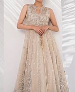 Light Golden Chiffon Suit- Pakistani Wedding Dress