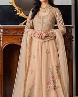 Light Golden Net Suit- Pakistani Party Wear Dress