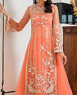 Coral Net Suit- Pakistani Party Wear Dress