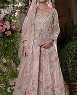 pink Pakistani Wedding Dresses Online ...