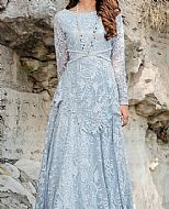 Baby Blue Net Suit- Pakistani Chiffon Dress