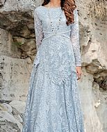 Threads and Motifs Baby Blue Net Suit- Pakistani Chiffon Dress