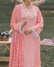 Adans Libas Salmon Pink Lawn Suit- Pakistani Designer Lawn Suits