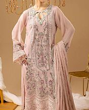 Cavern Pink Chiffon Suit